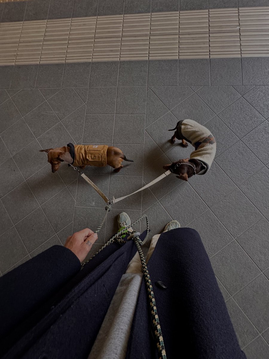 Nico 𝕏 tweet media