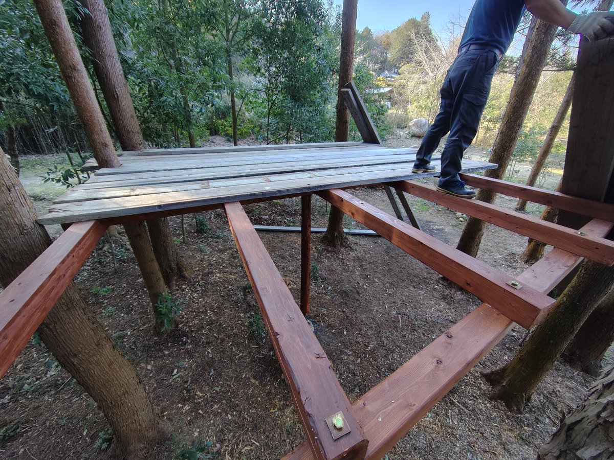 KABA362's tweet photo. 相方、独りでこつこつとツリーハウスを作っております🌲
#ツリーハウス
#KABA36
#キャンプ場 https://t.co/EzSb8i3XE4