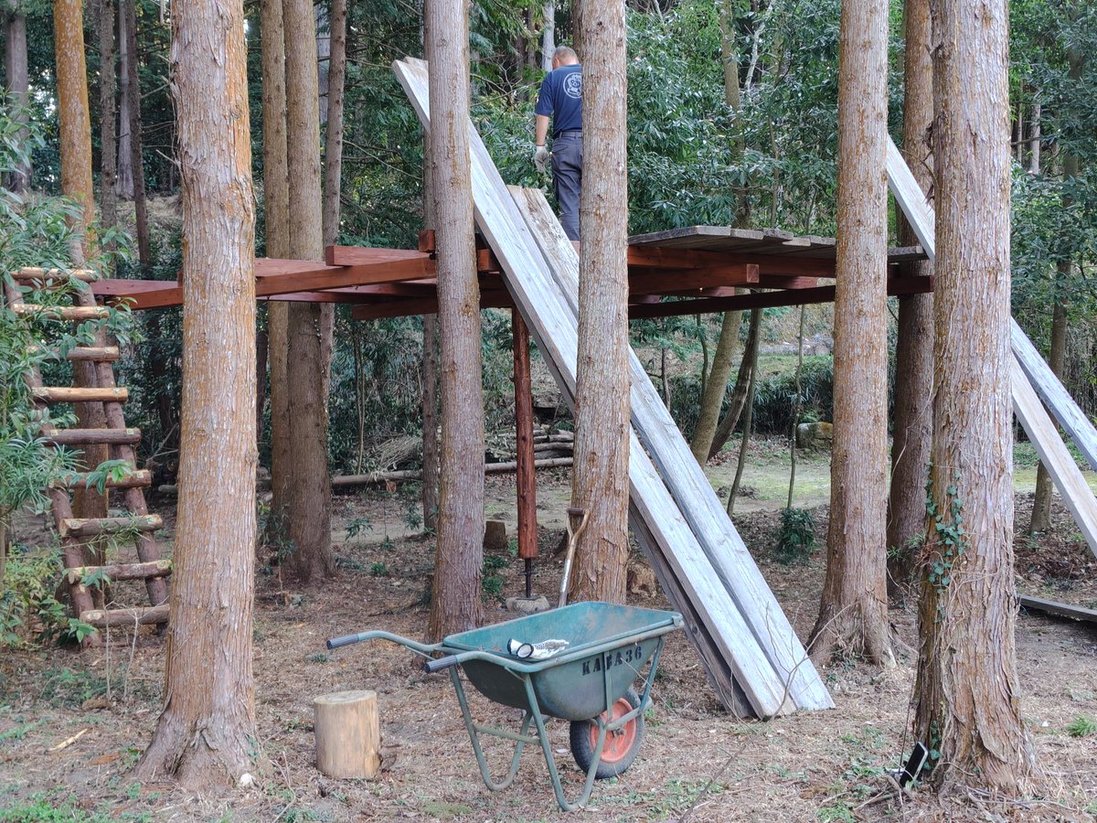 KABA362's tweet photo. 相方、独りでこつこつとツリーハウスを作っております🌲
#ツリーハウス
#KABA36
#キャンプ場 https://t.co/EzSb8i3XE4