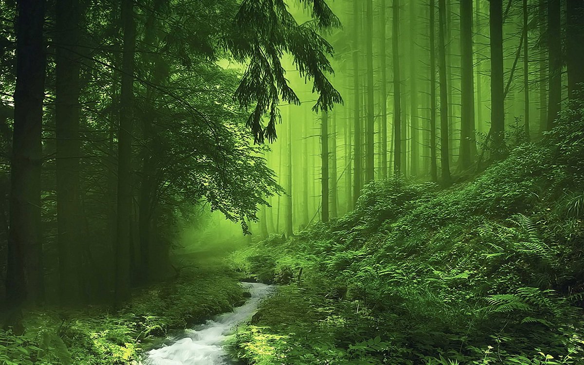 Soft Aura🩵 tweet media