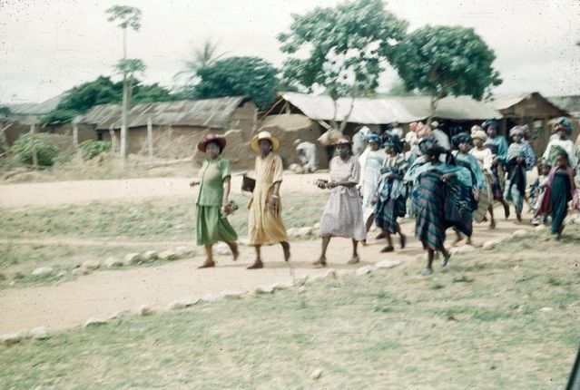 Political Rascal tweet media