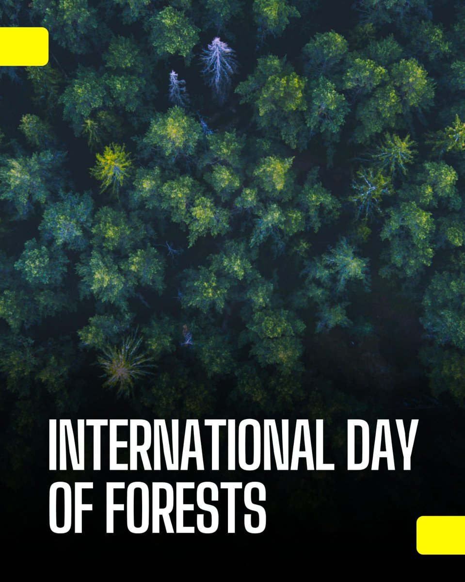 Pallavi Dempo tweet media