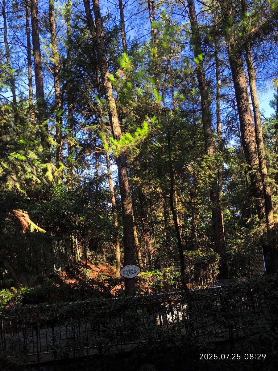 Katie Brennan tweet media