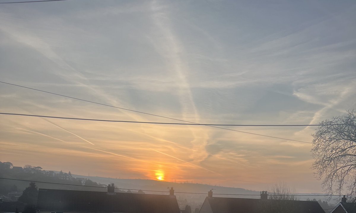 ᎷᏗᏒᏦᎩ ᏕᏂᏗᏒᏦᎩ 🦈 tweet media