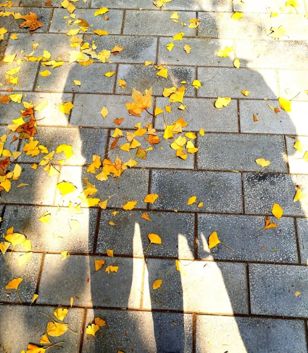 김종욱 tweet media