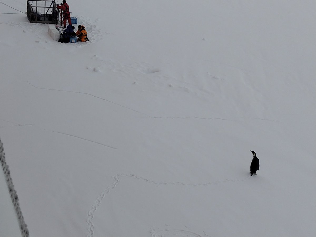 杉浦 奈実 tweet media