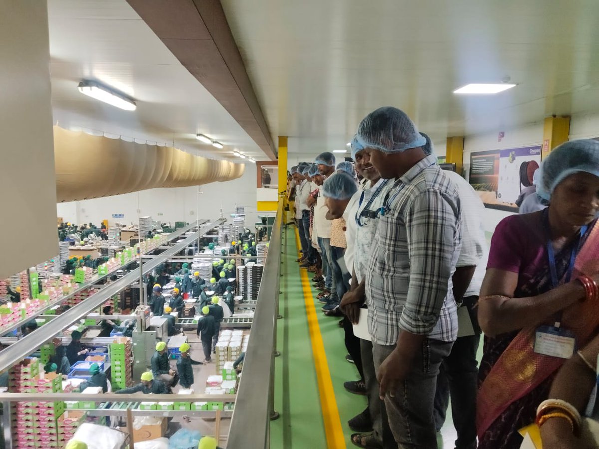 BasixKrishi's tweet photo. Exposure visit of Hinjilicut, Kukudakhandi &amp; Rambla FPOs of Ganjam district, Odisha to @SahyadriFarms, Nasik, Maharashtra sponsored by @Horticultureod1 on 18th Mar 2026 on hi-tech agriculture &amp; export-oriented value-added products. @BasixKrishi @sfacindia @krushibibhag @AgriGoI https://t.co/wKqpsIjUfq