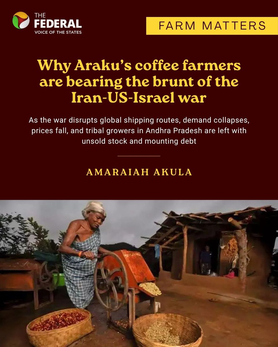 TheFederal_News's tweet photo. #FarmMatters | Experts warn that prolonged storage could reduce moisture levels in the beans, diminishing their aroma, threatening the hard-won brand image of Araku coffee in international markets, writes Amaraiah Akula.
Read more: https://t.co/B7Tk6ojWs6
#IranCrisis #AndhraPradesh #Trade #Coffee
