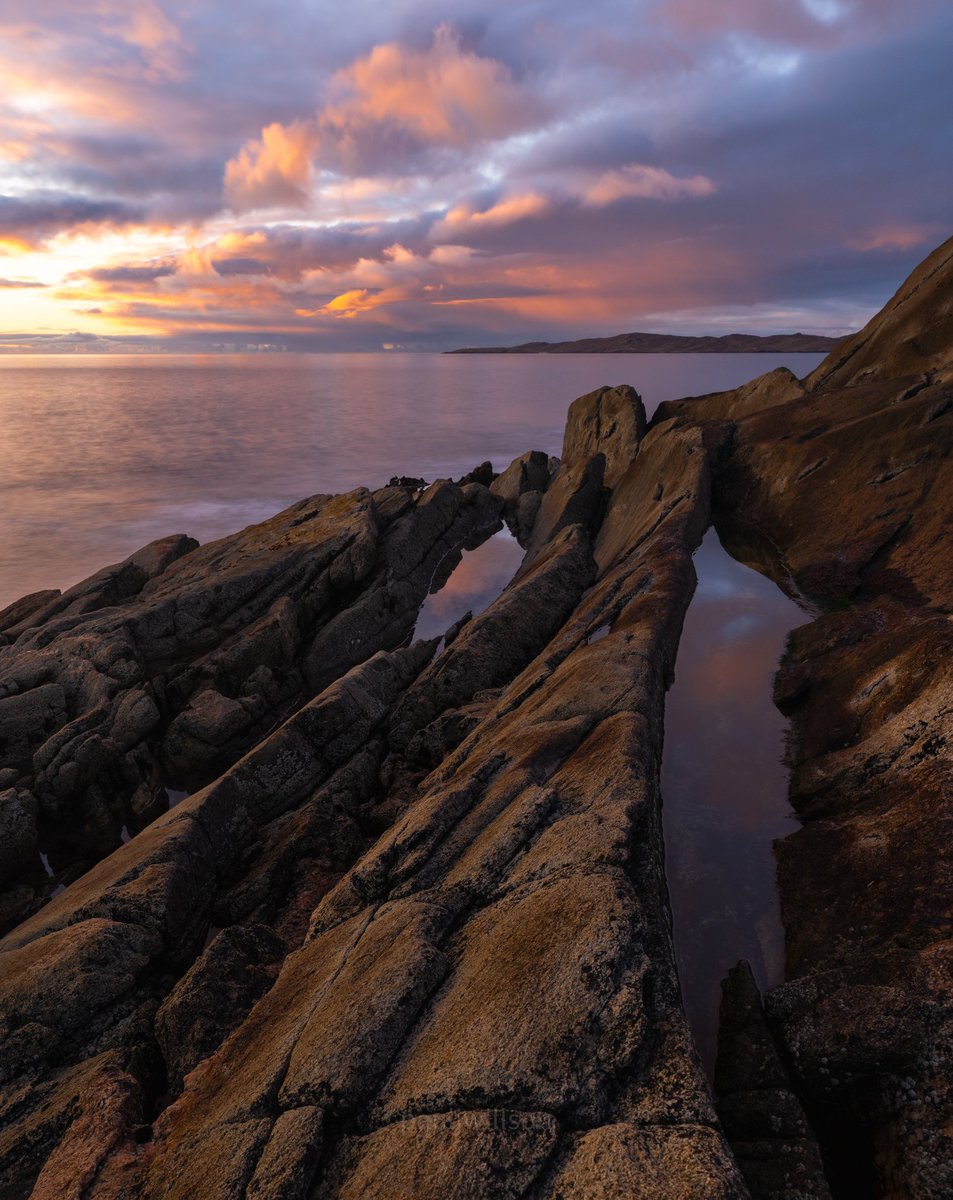 Paul Willson tweet media