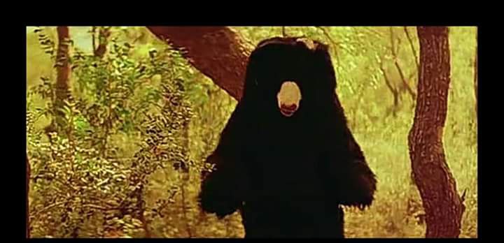 கோணவாயன் 🤪 tweet media