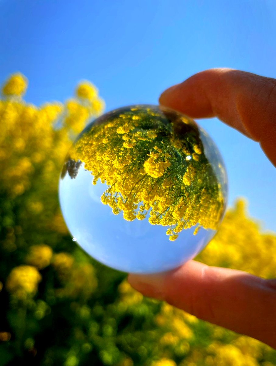 kёnchiki tweet media