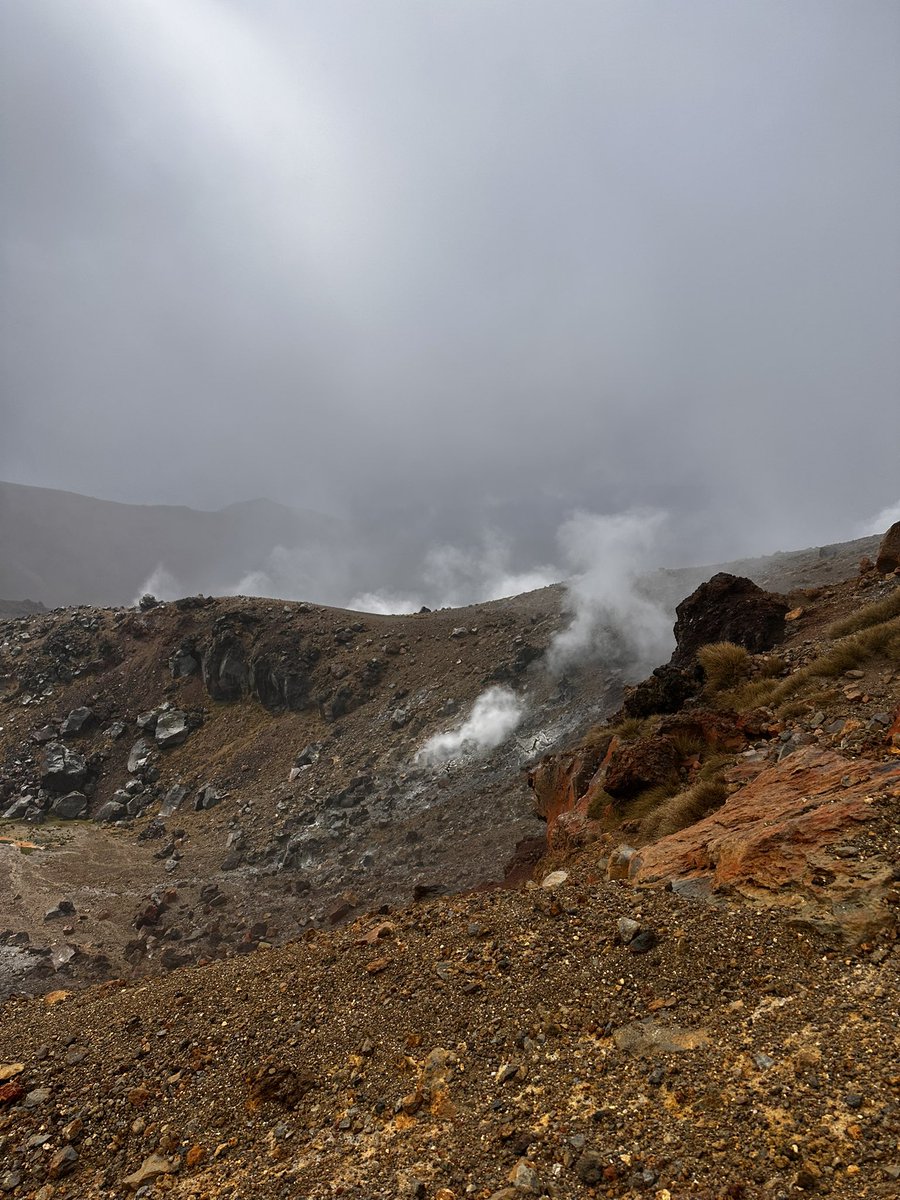 Cathryn 🇺🇦 tweet media