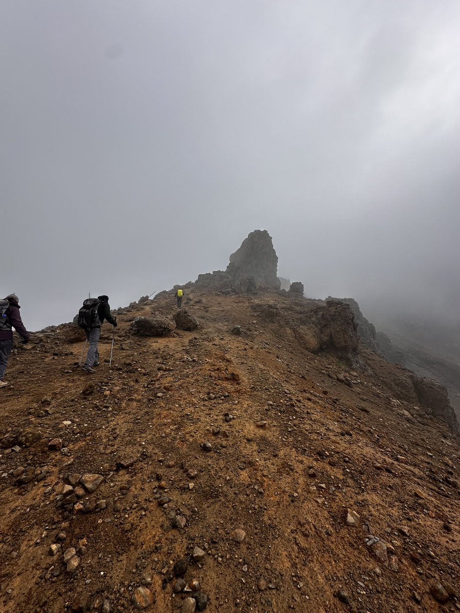 Cathryn 🇺🇦 tweet media