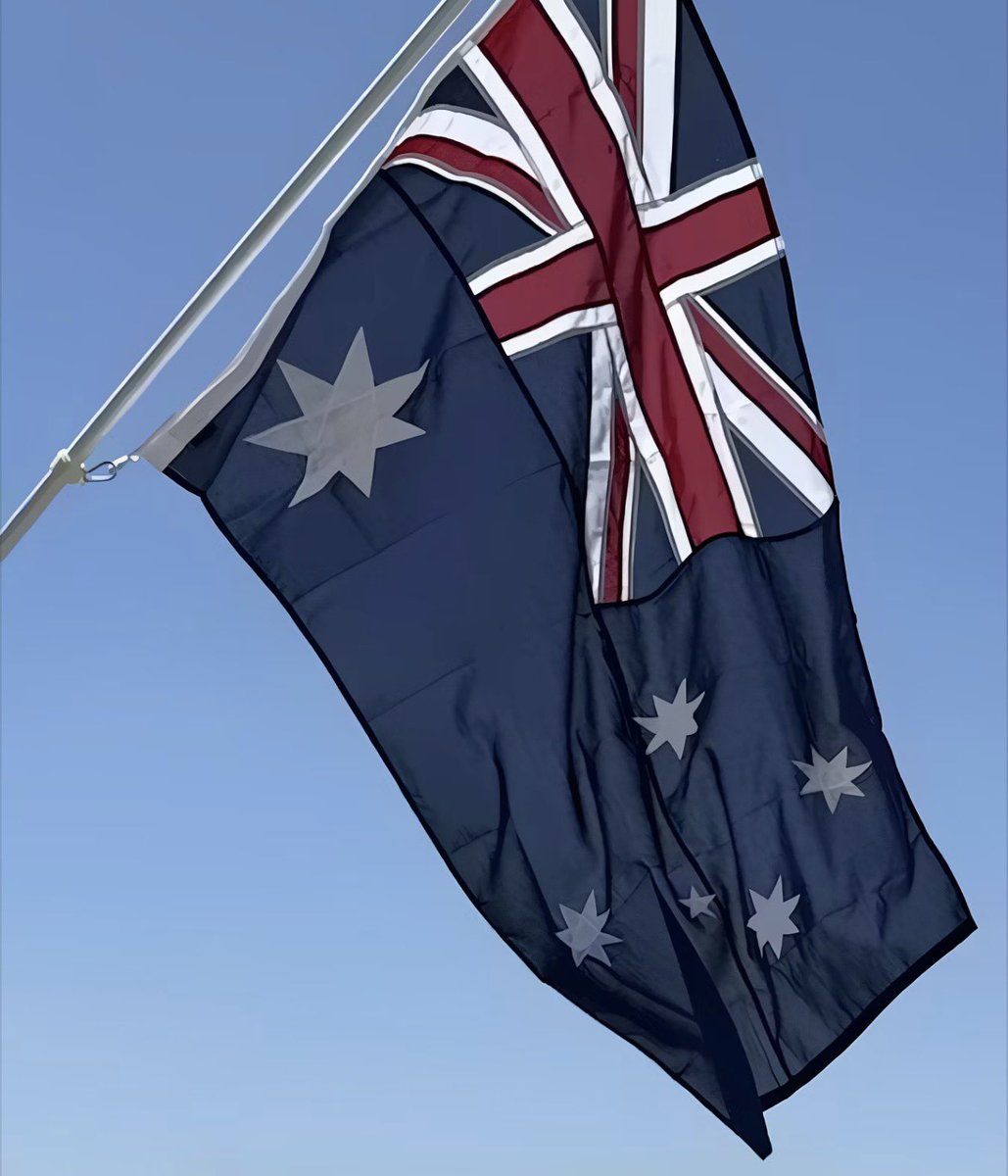 Jill Marinelli tweet media