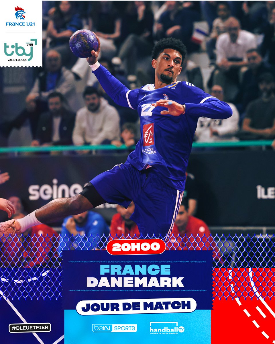 FFHandball tweet media