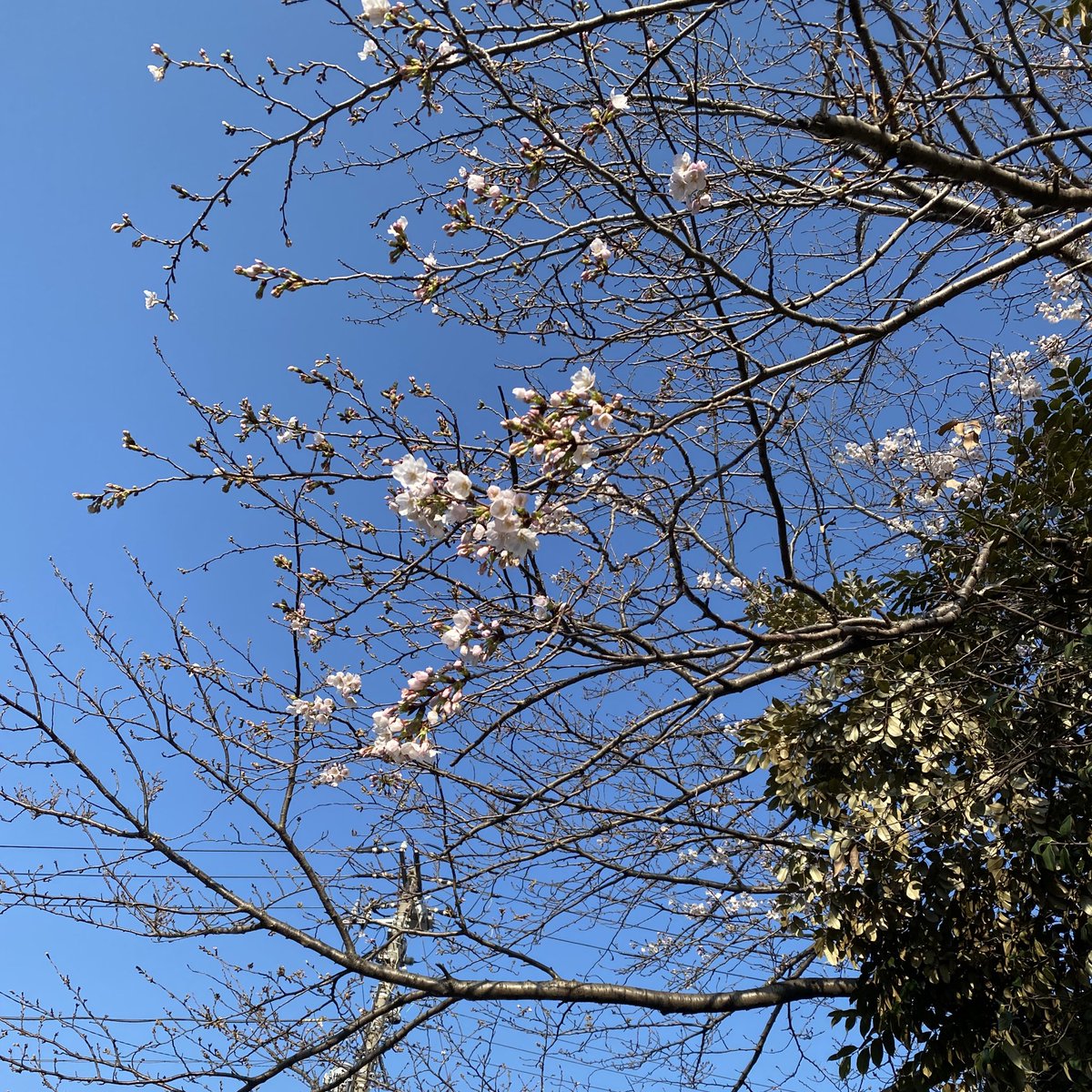 もさ母 tweet media