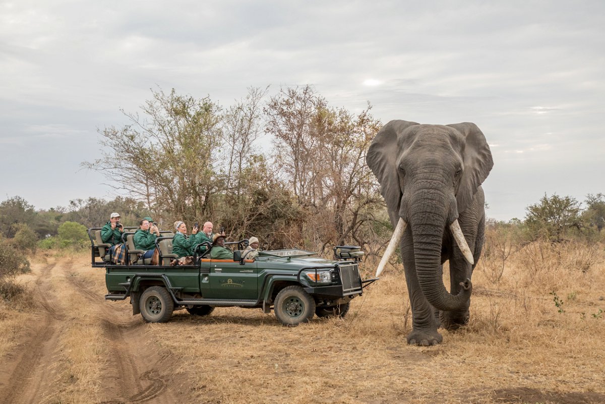 Mooi Troues tweet media