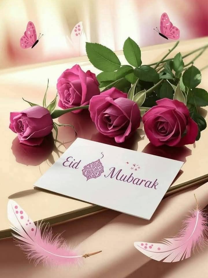 💘Hayat 💘 tweet media