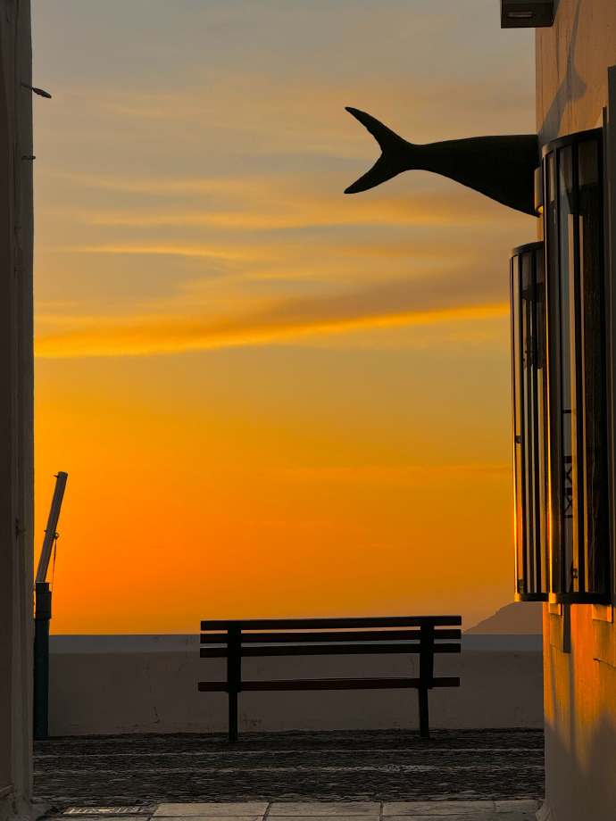 yoro jean philippe tweet media