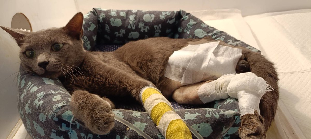 เห็ดไง tweet media