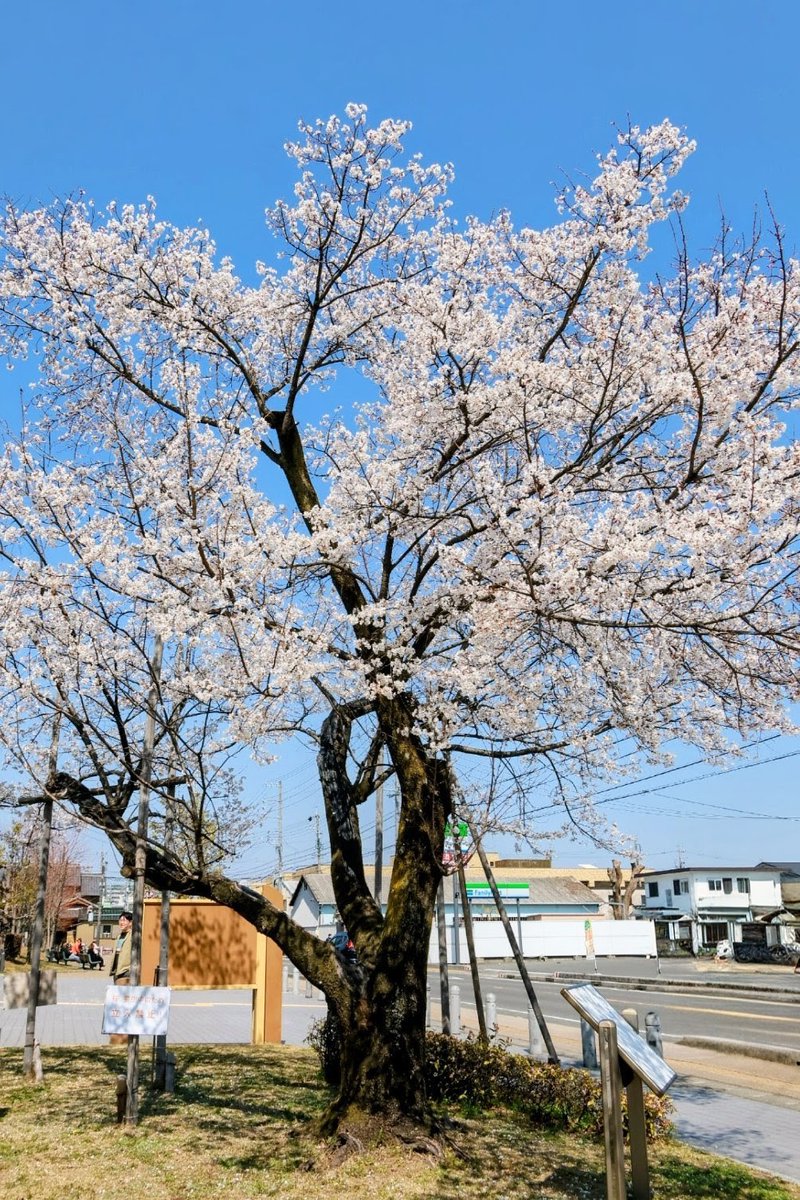 住吉浦休憩施設 tweet media