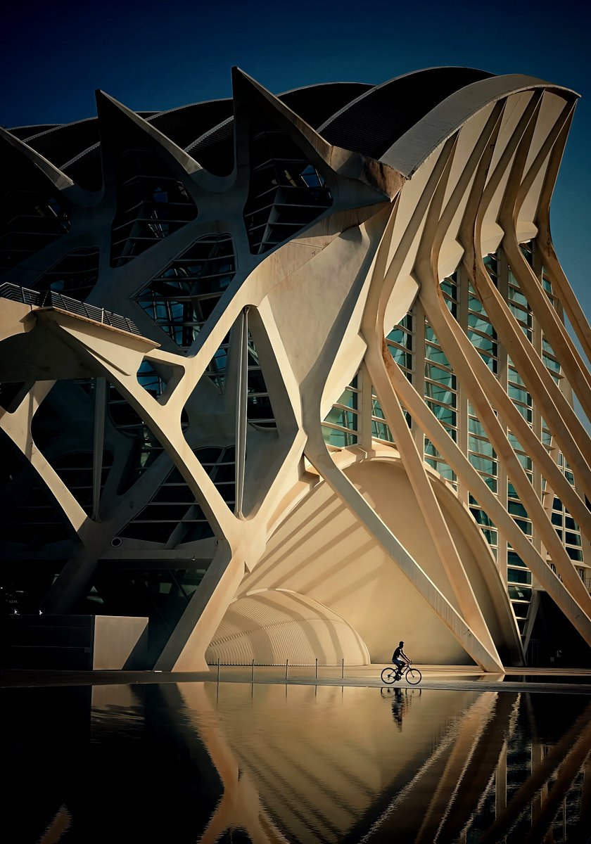 CameraLab tweet media