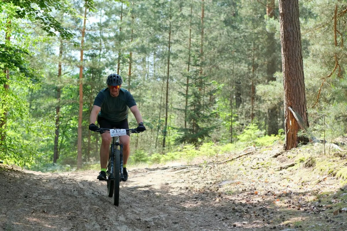 Canal Capital tweet media