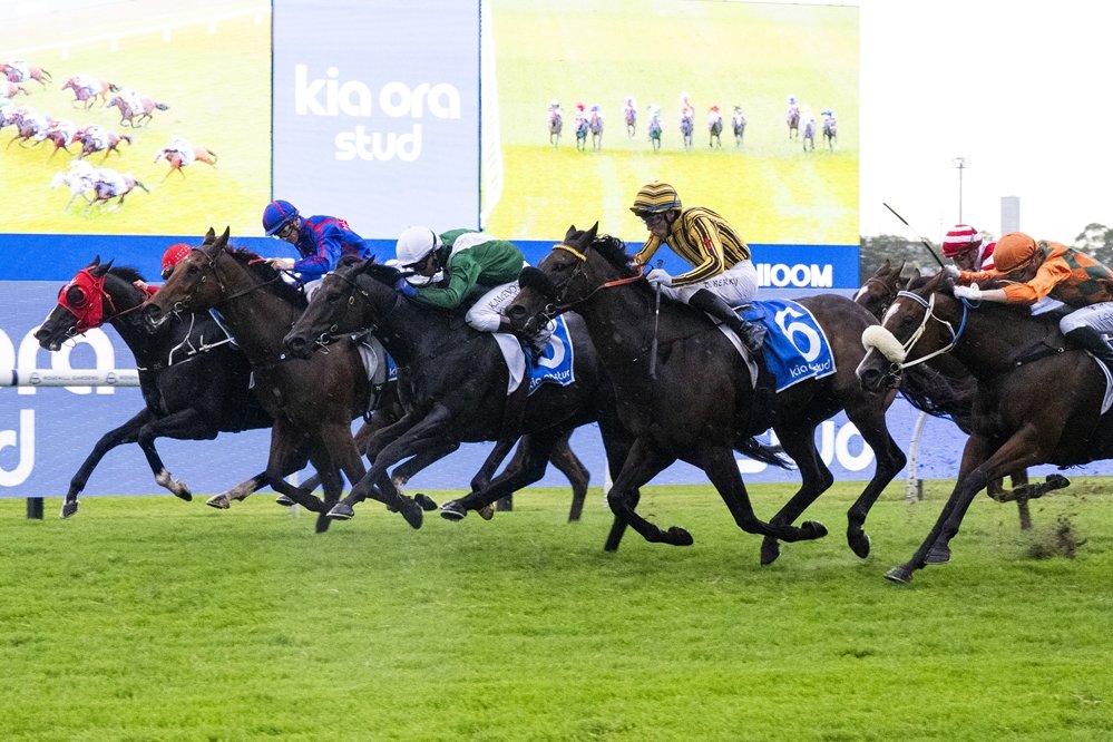 Racing NSW tweet media