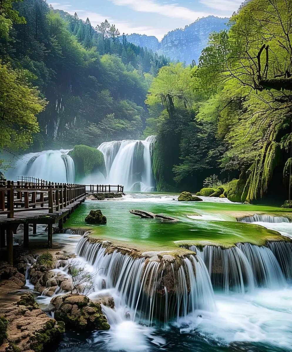 Anna emerald tweet media