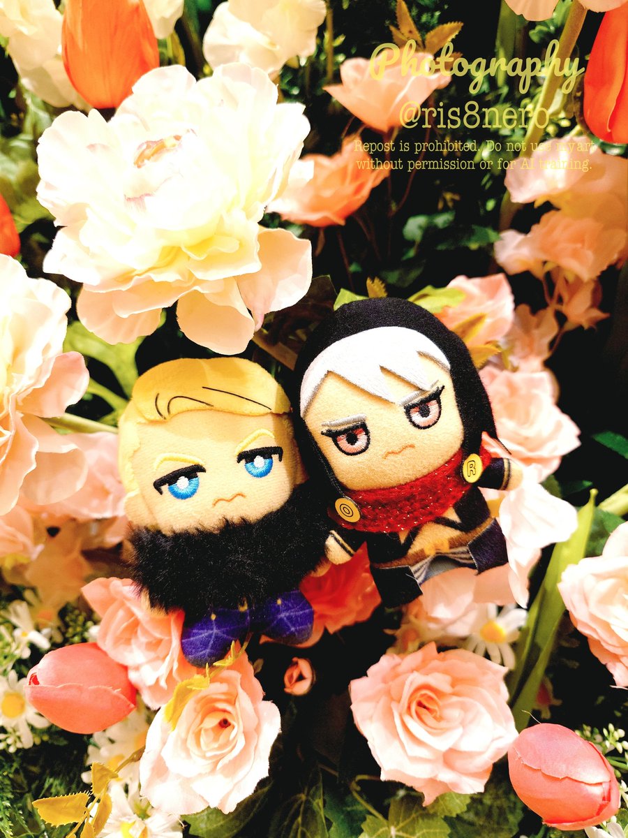 ∃ョコ®️₍⓿`៳⓿₎®️੬(𖤨`៳𖤨)✨ tweet media