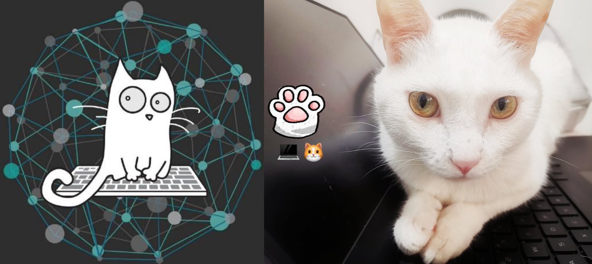 YuqiHuIsGreat's tweet photo. 😺💻 The convergence of virtual and real https://t.co/eieZ62mB4n