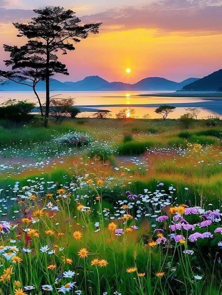 @aris4350 tweet media