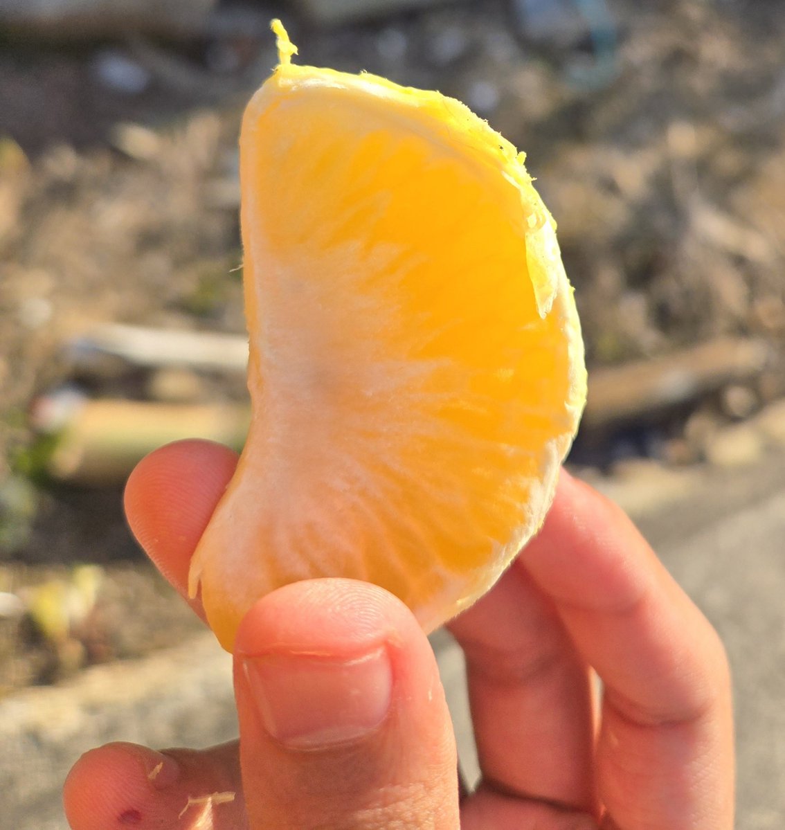 ゆにおん（Yunion） tweet media