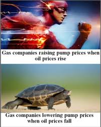 Definitely Not Sanders tweet media