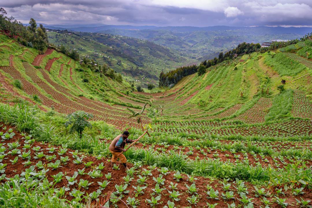 Eric RUKEBESHA tweet media