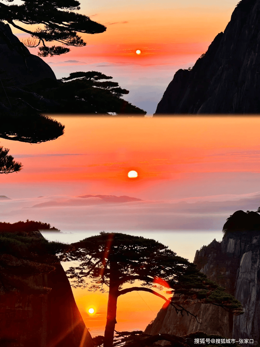 Luiz Paulo tweet media