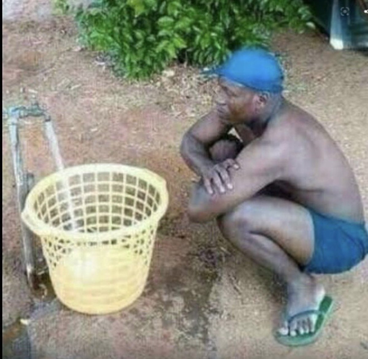 Giselle von Zemne tweet media