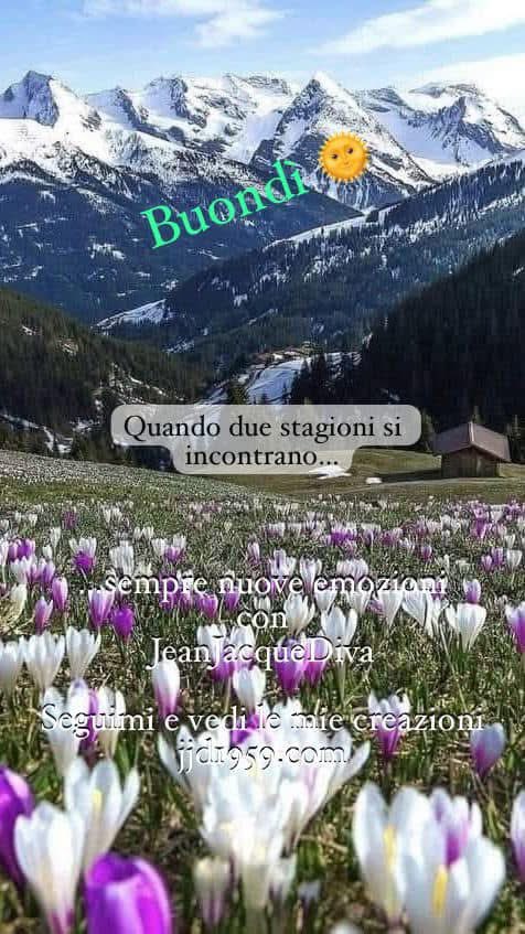 JeanJacqueDiva tweet media