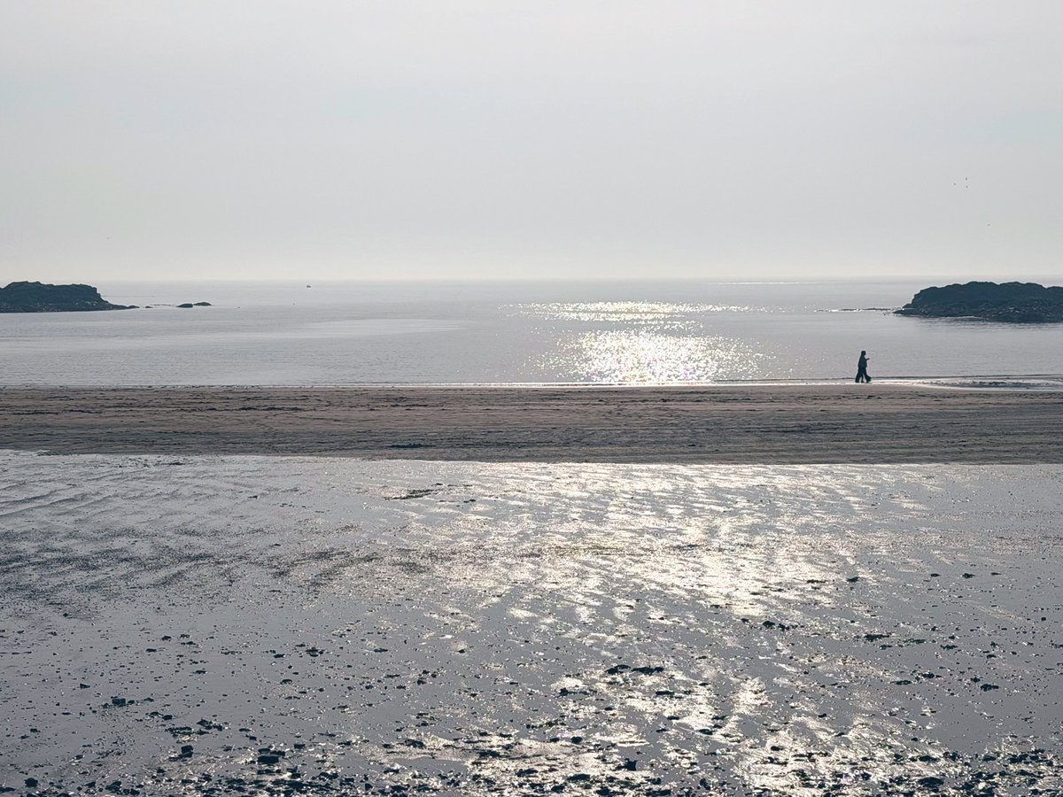 Ruth Livingstone 🦖🤍 🚺 tweet media