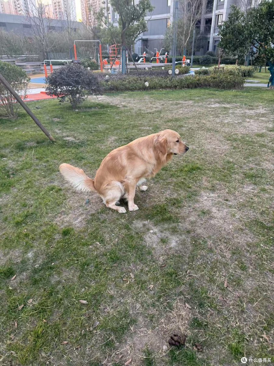 John Anthony tweet media