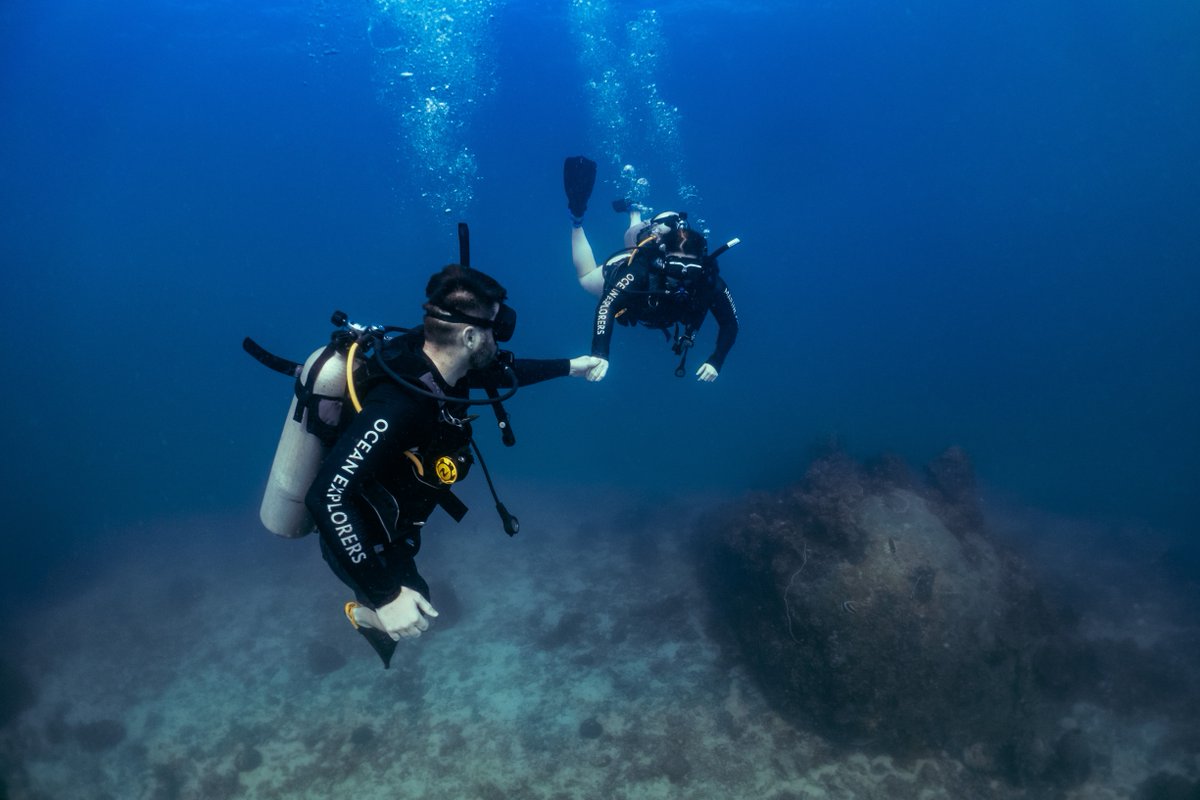 blackturtledive's tweet photo. At Black Turtle Dive, we will provide you with a bespoke, relaxed and enjoyable fun PADI or other certification diving experience. We will show the best of everything that there is to see, at dive sites suitable for you. https://t.co/LB653hEXpq #KohTao #Thailand #FunDive https://t.co/xuyinrtMpx
