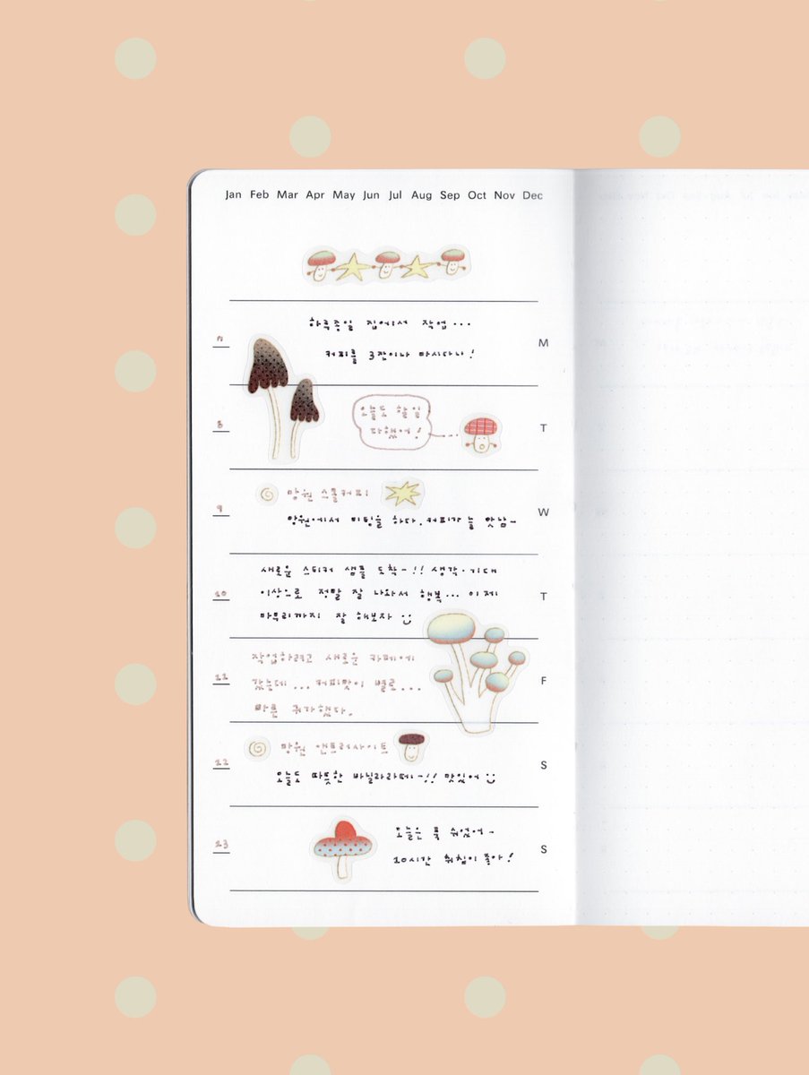 ammapark tweet media