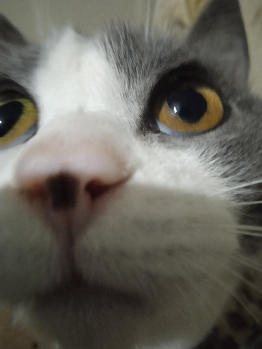 Plutoni239 tweet media