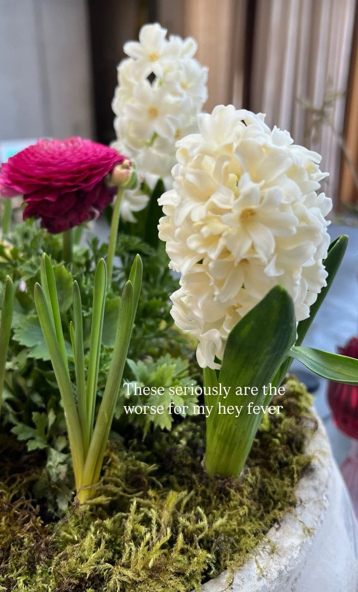 Take That Fanbase tweet media