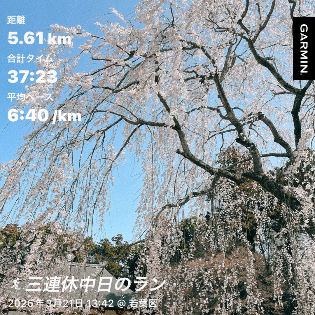 きんぎょ tweet media