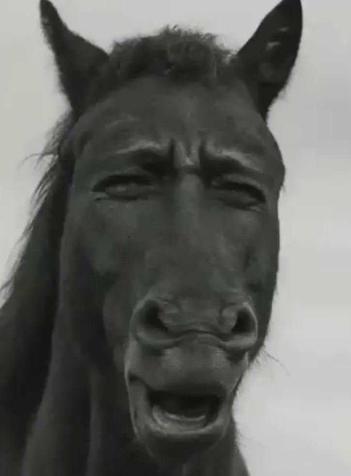 NotEvil | Jax tweet media