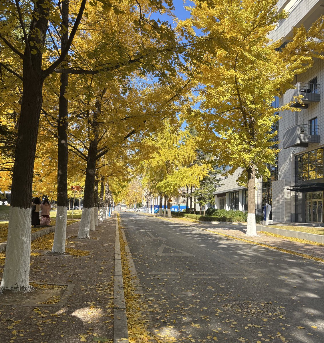 el .𖥔 ݁ ˖ tweet media