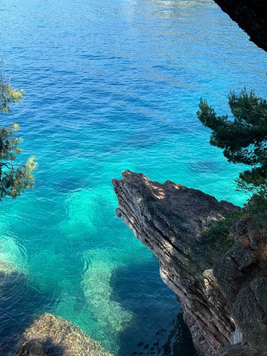 el .𖥔 ݁ ˖ tweet media