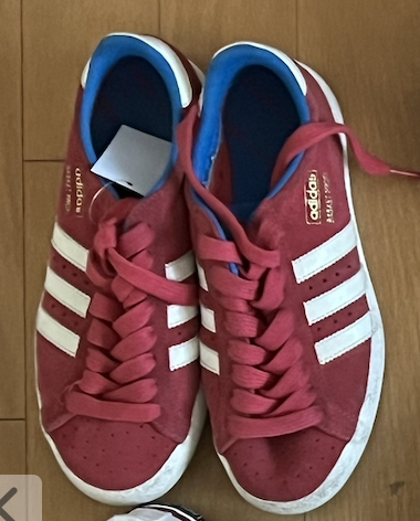 식빵🌱 tweet media