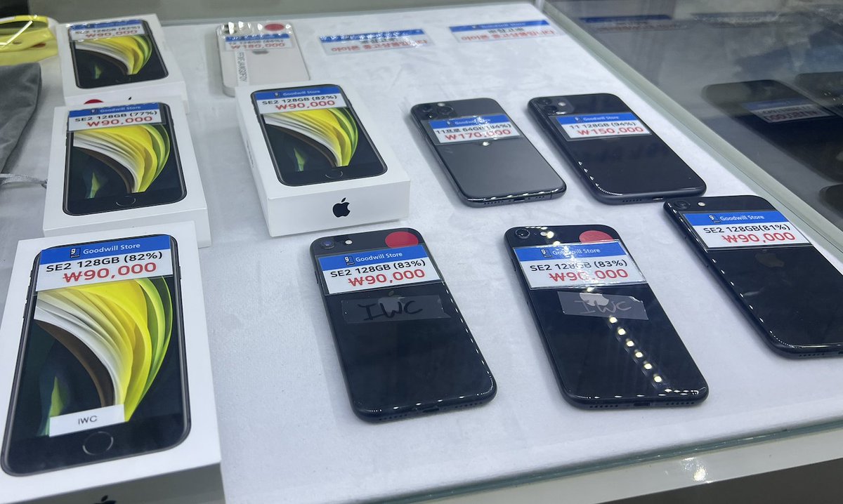 식빵🌱 tweet media